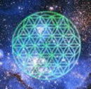 floweroflife2.jpg
