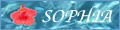 sophia.jpg