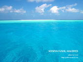 ocean2.jpg